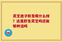 灵芝孢子粉发霉什么样？这是野生灵芝吗还能够种活吗