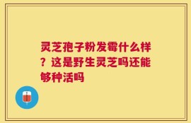 灵芝孢子粉发霉什么样？这是野生灵芝吗还能够种活吗