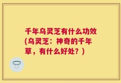 千年乌灵芝有什么功效(乌灵芝：神奇的千年草，有什么好处？)