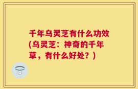 千年乌灵芝有什么功效(乌灵芝：神奇的千年草，有什么好处？)