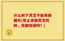 什么树下灵芝不能采摘图片(禁止采摘灵芝的树，你都知道吗？)