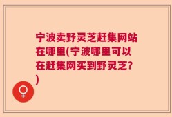 宁波卖野灵芝赶集网站在哪里(宁波哪里可以在赶集网买到野灵芝？)