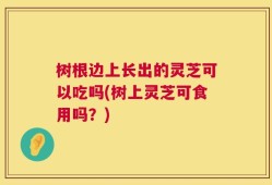树根边上长出的灵芝可以吃吗(树上灵芝可食用吗？)