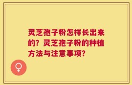灵芝孢子粉怎样长出来的？灵芝孢子粉的种植方法与注意事项？