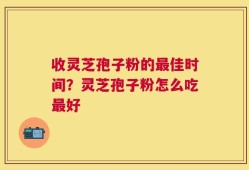 收灵芝孢子粉的最佳时间？灵芝孢子粉怎么吃最好