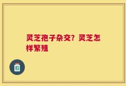 灵芝孢子杂交？灵芝怎样繁殖