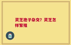 灵芝孢子杂交？灵芝怎样繁殖