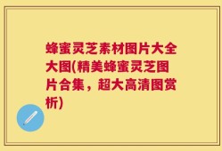 蜂蜜灵芝素材图片大全大图(精美蜂蜜灵芝图片合集，超大高清图赏析)