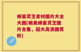 蜂蜜灵芝素材图片大全大图(精美蜂蜜灵芝图片合集，超大高清图赏析)