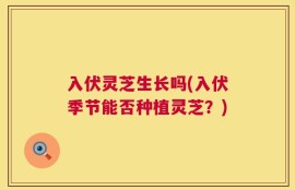 入伏灵芝生长吗(入伏季节能否种植灵芝？)