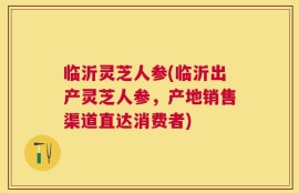 临沂灵芝人参(临沂出产灵芝人参，产地销售渠道直达消费者)