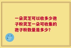 一朵灵芝可以收多少孢子粉灵芝一朵可收集的孢子粉数量是多少？