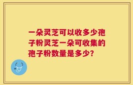 一朵灵芝可以收多少孢子粉灵芝一朵可收集的孢子粉数量是多少？