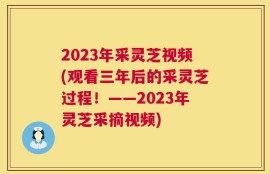 2023年采灵芝视频(观看三年后的采灵芝过程！——2023年灵芝采摘视频)