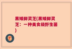 黑矮脚灵芝(黑矮脚灵芝：一种美食级野生菌)