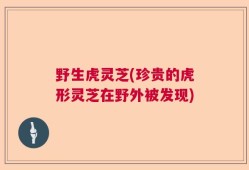 野生虎灵芝(珍贵的虎形灵芝在野外被发现)