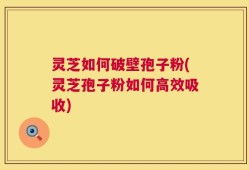 灵芝如何破壁孢子粉(灵芝孢子粉如何高效吸收)