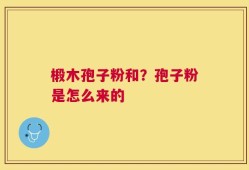 椴木孢子粉和？孢子粉是怎么来的