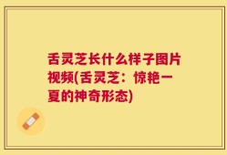 舌灵芝长什么样子图片视频(舌灵芝：惊艳一夏的神奇形态)