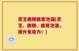 灵芝鹿鞭鹿茸泡酒(灵芝、鹿鞭、鹿茸泡酒，提升免疫力！)
