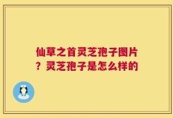 仙草之首灵芝孢子图片？灵芝孢子是怎么样的