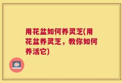 用花盆如何养灵芝(用花盆养灵芝，教你如何养活它)