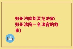 郑州法院刘灵芝法官(郑州法院一名法官的故事)