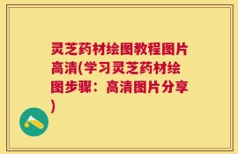 灵芝药材绘图教程图片高清(学习灵芝药材绘图步骤：高清图片分享)