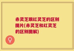 赤灵芝跟红灵芝的区别图片(赤灵芝和红灵芝的区别图解)