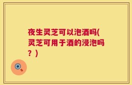 夜生灵芝可以泡酒吗(灵芝可用于酒的浸泡吗？)