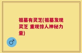 祖墓有灵芝(祖墓发现灵芝 重现惊人神秘力量)