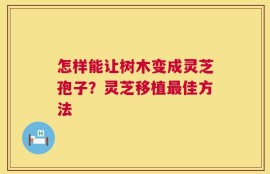 怎样能让树木变成灵芝孢子？灵芝移植最佳方法