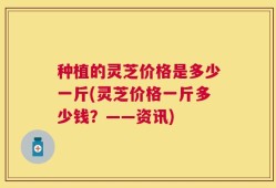 种植的灵芝价格是多少一斤(灵芝价格一斤多少钱？——资讯)