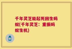 千年灵芝能起死回生蚂蚁(千年灵芝：重振蚂蚁生机)