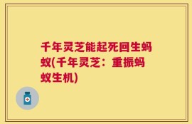 千年灵芝能起死回生蚂蚁(千年灵芝：重振蚂蚁生机)
