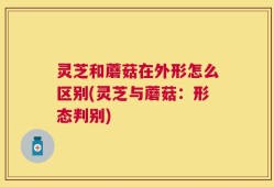 灵芝和蘑菇在外形怎么区别(灵芝与蘑菇：形态判别)