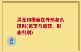 灵芝和蘑菇在外形怎么区别(灵芝与蘑菇：形态判别)