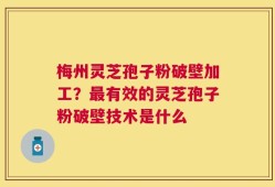 梅州灵芝孢子粉破壁加工？最有效的灵芝孢子粉破壁技术是什么