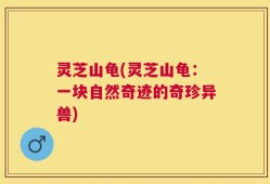灵芝山龟(灵芝山龟：一块自然奇迹的奇珍异兽)
