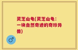 灵芝山龟(灵芝山龟：一块自然奇迹的奇珍异兽)