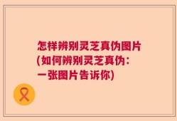 怎样辨别灵芝真伪图片(如何辨别灵芝真伪：一张图片告诉你)