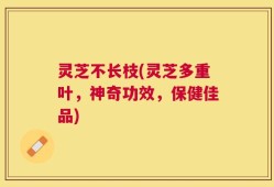 灵芝不长枝(灵芝多重叶，神奇功效，保健佳品)