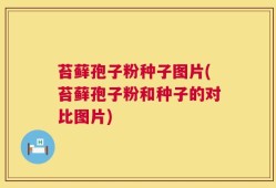 苔藓孢子粉种子图片(苔藓孢子粉和种子的对比图片)