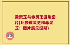 黄灵芝与赤灵芝区别图片(比较黄灵芝和赤灵芝：图片展示区别)