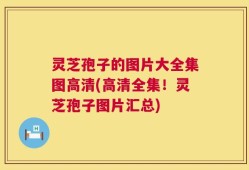 灵芝孢子的图片大全集图高清(高清全集！灵芝孢子图片汇总)