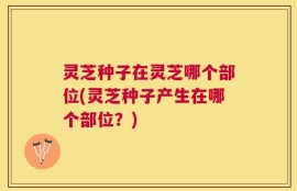 灵芝种子在灵芝哪个部位(灵芝种子产生在哪个部位？)