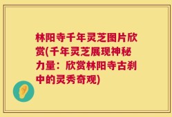林阳寺千年灵芝图片欣赏(千年灵芝展现神秘力量：欣赏林阳寺古刹中的灵秀奇观)