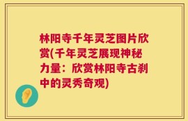 林阳寺千年灵芝图片欣赏(千年灵芝展现神秘力量：欣赏林阳寺古刹中的灵秀奇观)