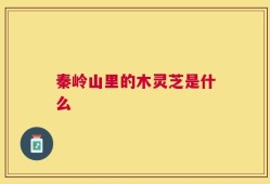 秦岭山里的木灵芝是什么