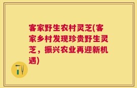 客家野生农村灵芝(客家乡村发现珍贵野生灵芝，振兴农业再迎新机遇)